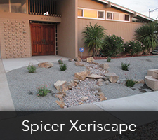 Spicer Xeriscapes Project