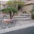 SOFTSCAPES XERISCAPES DESERT LANDSCAPING THUMBNAIL 0