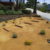 SOFTSCAPES XERISCAPES GUMBERT THUMBNAIL 0