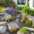 todd1 Water Features 7