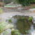 WATER FEATURES POND DESIGNS AGREDANO THUMBNAIL 1