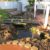 WATER FEATURES POND DESIGNS GONZALES THUMBNAIL 0