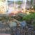 WATER FEATURES POND DESIGNS GONZALES THUMBNAIL 3