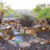 WATER FEATURES WATERFALL DESIGNS S SMITH THUMBNAIL 2