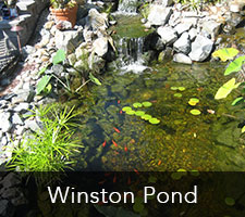 Winston Pond Project